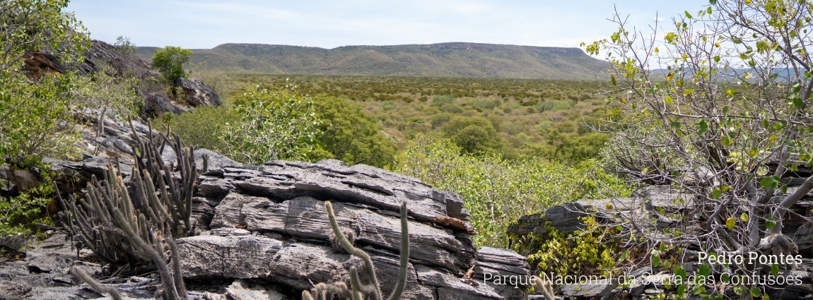 Parque Nacional da Serra das Confusões